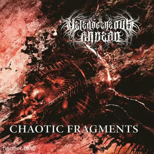Heterogeneous Andead - Chaotic Fragments (2022