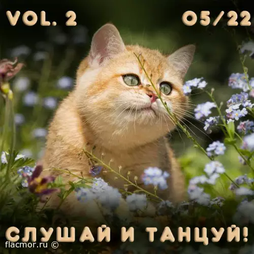 Слушай и Танцуй! vol.2 Новая танцевальная музыка с разных сайтов (2022)