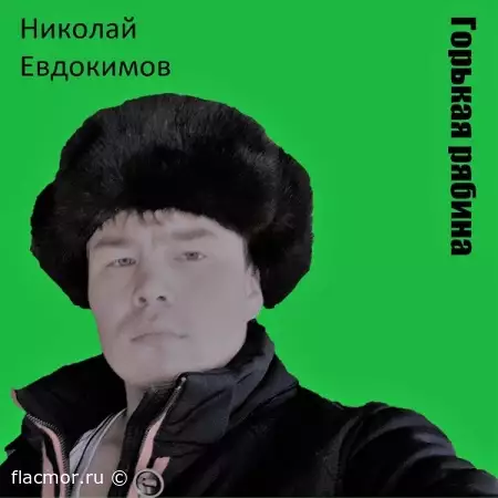 Николай Евдокимов - Горькая рябина (2022)