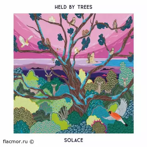 Held By Trees - Solace (2022)