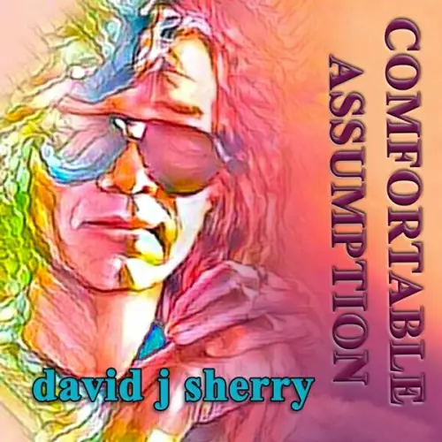 David J. Sherry - Comfortable Assumption (2022)