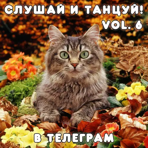 Сборник - Слушай и Танцуй! [vol.6] (2022) MP3